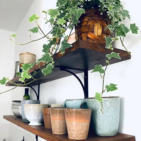 Apartment Caetes *